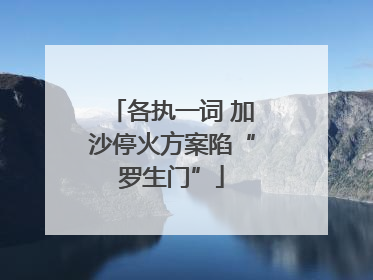 各执一词 加沙停火方案陷“罗生门”