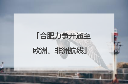 合肥力争开通至欧洲、非洲航线