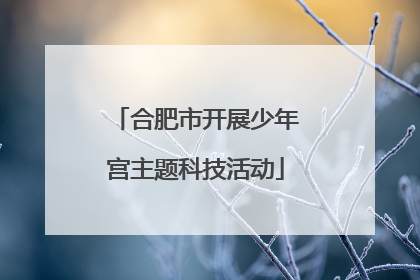 合肥市开展少年宫主题科技活动
