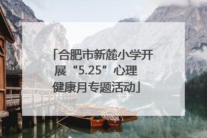合肥市新麓小学开展“5.25”心理健康月专题活动