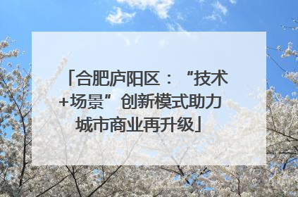 合肥庐阳区：“技术+场景”创新模式助力城市商业再升级