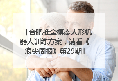 合肥推全模态人形机器人训练方案，请看《浪尖周报》第29期
