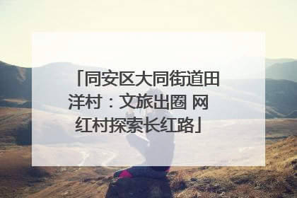 同安区大同街道田洋村：文旅出圈 网红村探索长红路