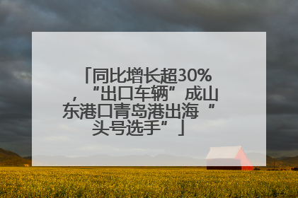 同比增长超30%，“出口车辆”成山东港口青岛港出海“头号选手”