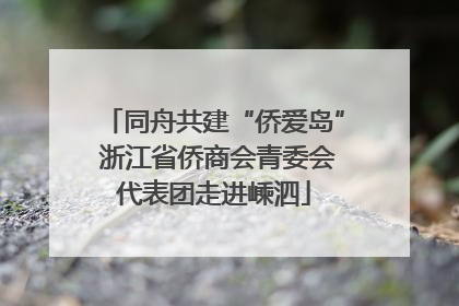 同舟共建“侨爱岛” 浙江省侨商会青委会代表团走进嵊泗