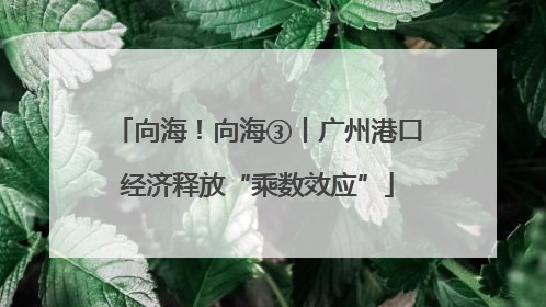 向海！向海③丨广州港口经济释放“乘数效应”