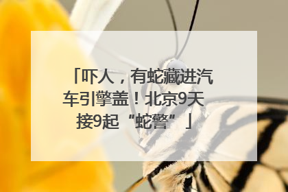 吓人，有蛇藏进汽车引擎盖！北京9天接9起“蛇警”