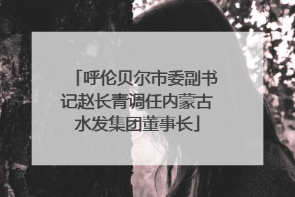 呼伦贝尔市委副书记赵长青调任内蒙古水发集团董事长