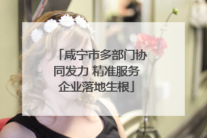 咸宁市多部门协同发力 精准服务企业落地生根