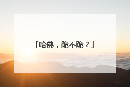 哈佛，跪不跪？