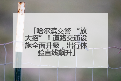 哈尔滨交警 “放大招”！道路交通设施全面升级，出行体验直线飙升