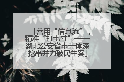 善用“信息流”，精准“打七寸”——湖北公安省市一体深挖串并力破民生案