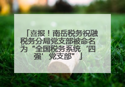 喜报！南岳税务祝融税务分局党支部被命名为“全国税务系统‘四强’党支部”