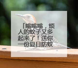 嗡嗡嗡，烦人的蚊子又多起来了！送你一份夏日防蚊全攻略