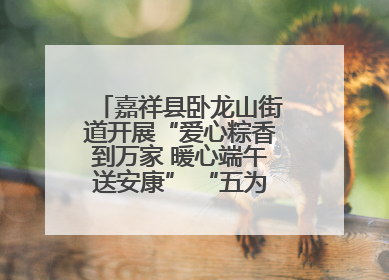 嘉祥县卧龙山街道开展“爱心粽香到万家 暖心端午送安康” “五为”志愿服务活动