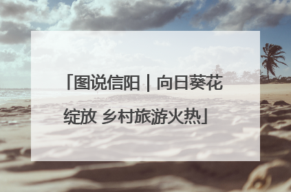 图说信阳｜向日葵花绽放 乡村旅游火热