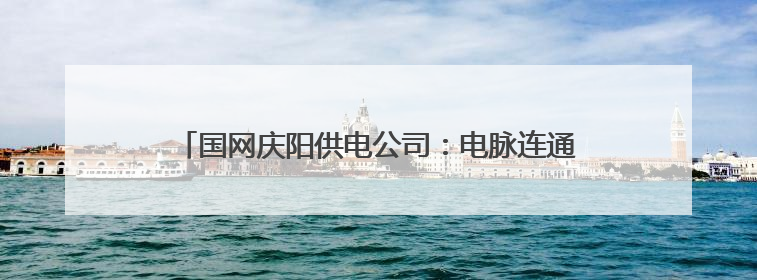 国网庆阳供电公司：电脉连通诗与远方 服务点亮露营之光