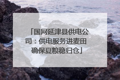国网延津县供电公司：供电服务进麦田 确保夏粮稳归仓
