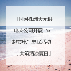 国网株洲天元供电支公司开展“e起节电”惠民活动，共筑清凉夏日