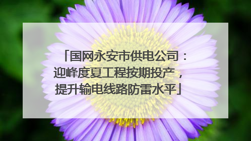 国网永安市供电公司：迎峰度夏工程按期投产，提升输电线路防雷水平