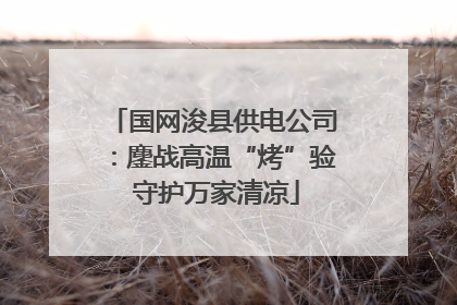 国网浚县供电公司：鏖战高温“烤”验 守护万家清凉