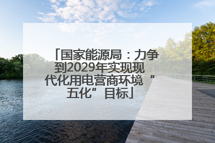 国家能源局：力争到2029年实现现代化用电营商环境“五化”目标