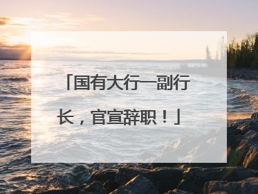 国有大行一副行长，官宣辞职！