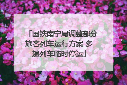 国铁南宁局调整部分旅客列车运行方案 多趟列车临时停运