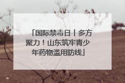 国际禁毒日丨多方聚力！山东筑牢青少年药物滥用防线