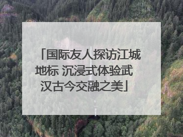 国际友人探访江城地标 沉浸式体验武汉古今交融之美
