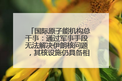 国际原子能机构总干事：通过军事手段无法解决伊朗核问题，其核设施仍具备相关产能，只需要数月就能生产出浓缩铀
