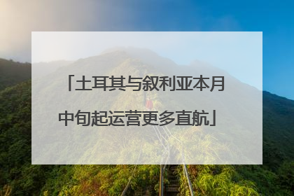 土耳其与叙利亚本月中旬起运营更多直航