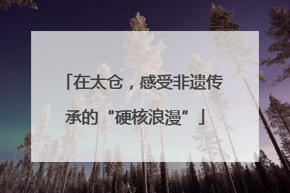 在太仓，感受非遗传承的“硬核浪漫”