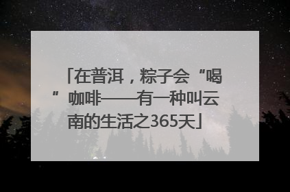 在普洱，粽子会“喝”咖啡——有一种叫云南的生活之365天
