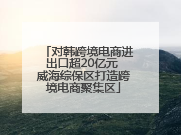 对韩跨境电商进出口超20亿元 威海综保区打造跨境电商聚集区