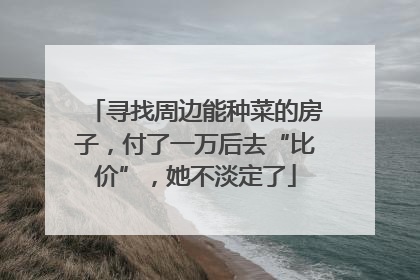 寻找周边能种菜的房子，付了一万后去“比价”，她不淡定了