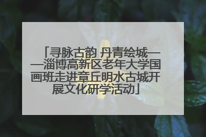 寻脉古韵 丹青绘城——淄博高新区老年大学国画班走进章丘明水古城开展文化研学活动
