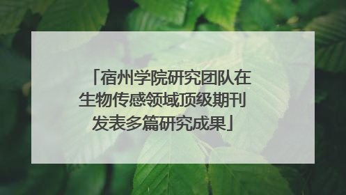 宿州学院研究团队在生物传感领域顶级期刊发表多篇研究成果