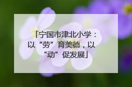 宁国市津北小学：以“劳”育美德，以“动”促发展