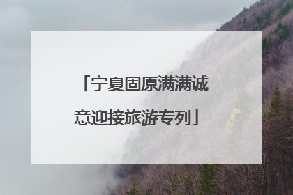 宁夏固原满满诚意迎接旅游专列