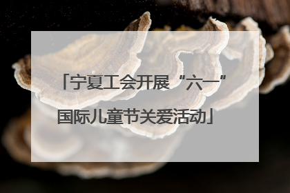 宁夏工会开展“六一”国际儿童节关爱活动