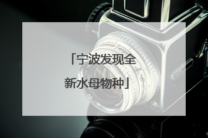 宁波发现全新水母物种