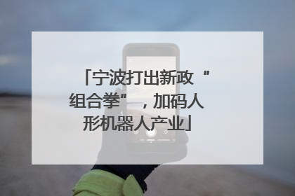 宁波打出新政“组合拳”，加码人形机器人产业