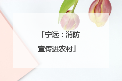 宁远：消防宣传进农村