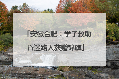 安徽合肥：学子救助昏迷路人获赠锦旗
