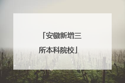 安徽新增三所本科院校