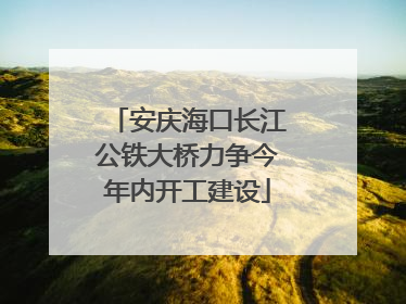 安庆海口长江公铁大桥力争今年内开工建设