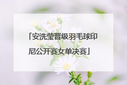 安洗莹晋级羽毛球印尼公开赛女单决赛