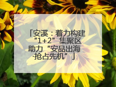 安溪：着力构建“1+2”集聚区 助力“安品出海·抢占先机”