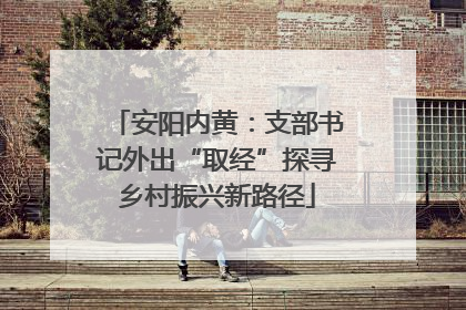 安阳内黄：支部书记外出“取经”探寻乡村振兴新路径